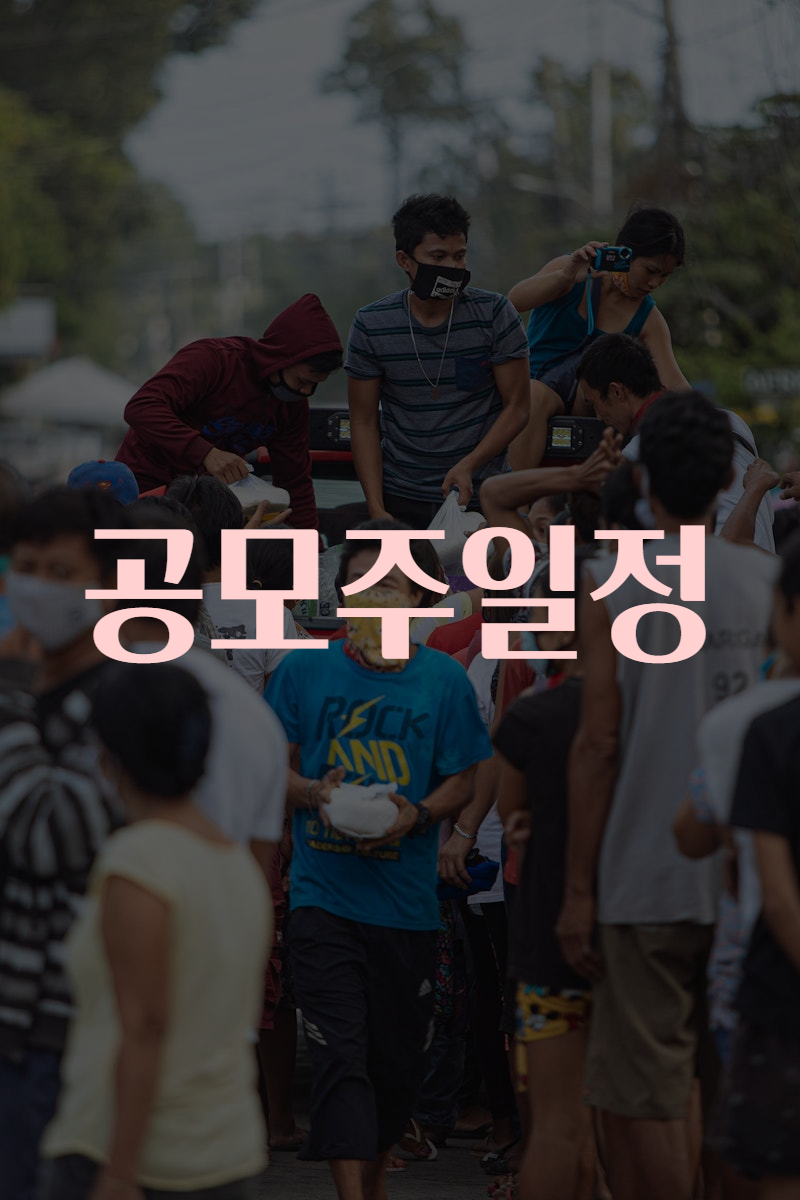 공모주일정