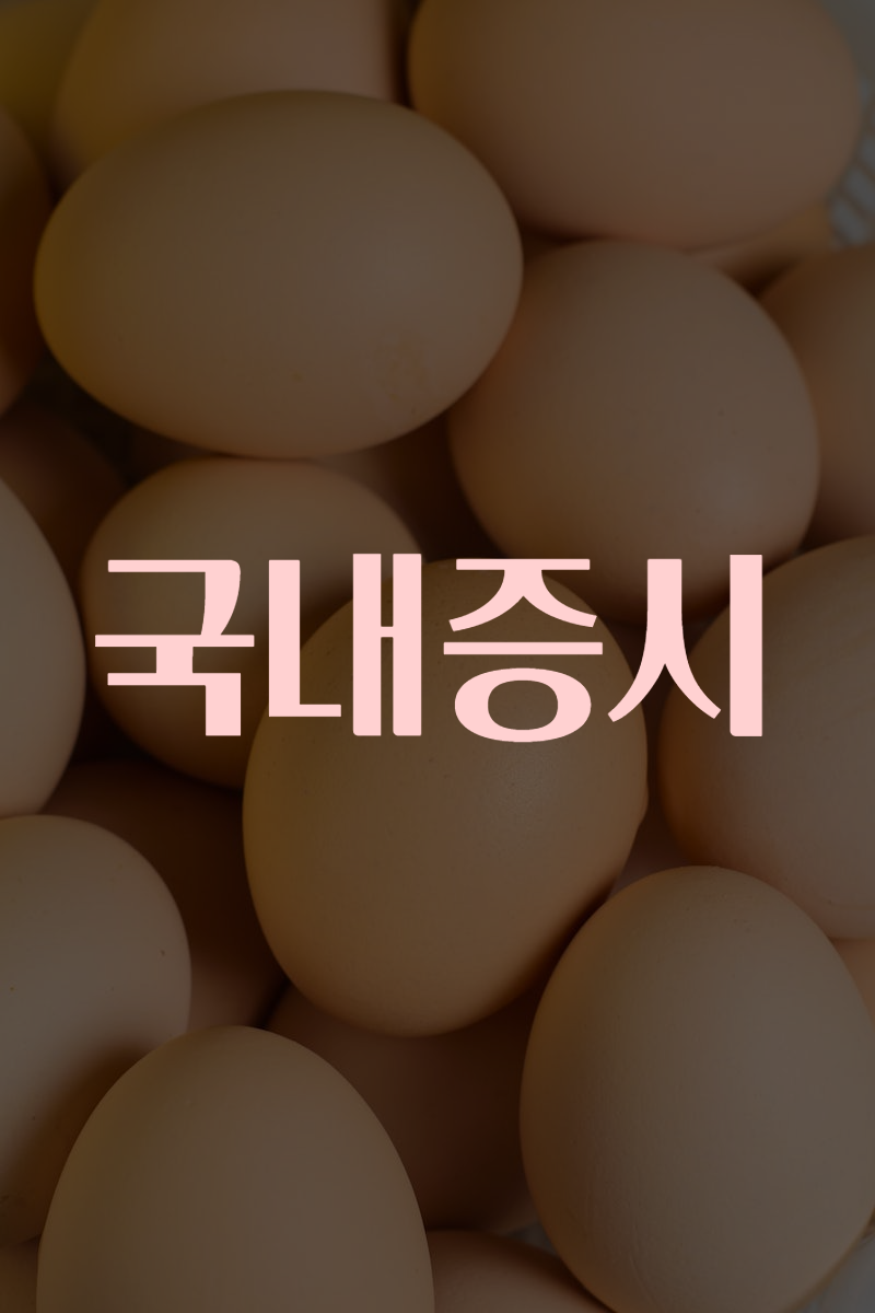 국내증시