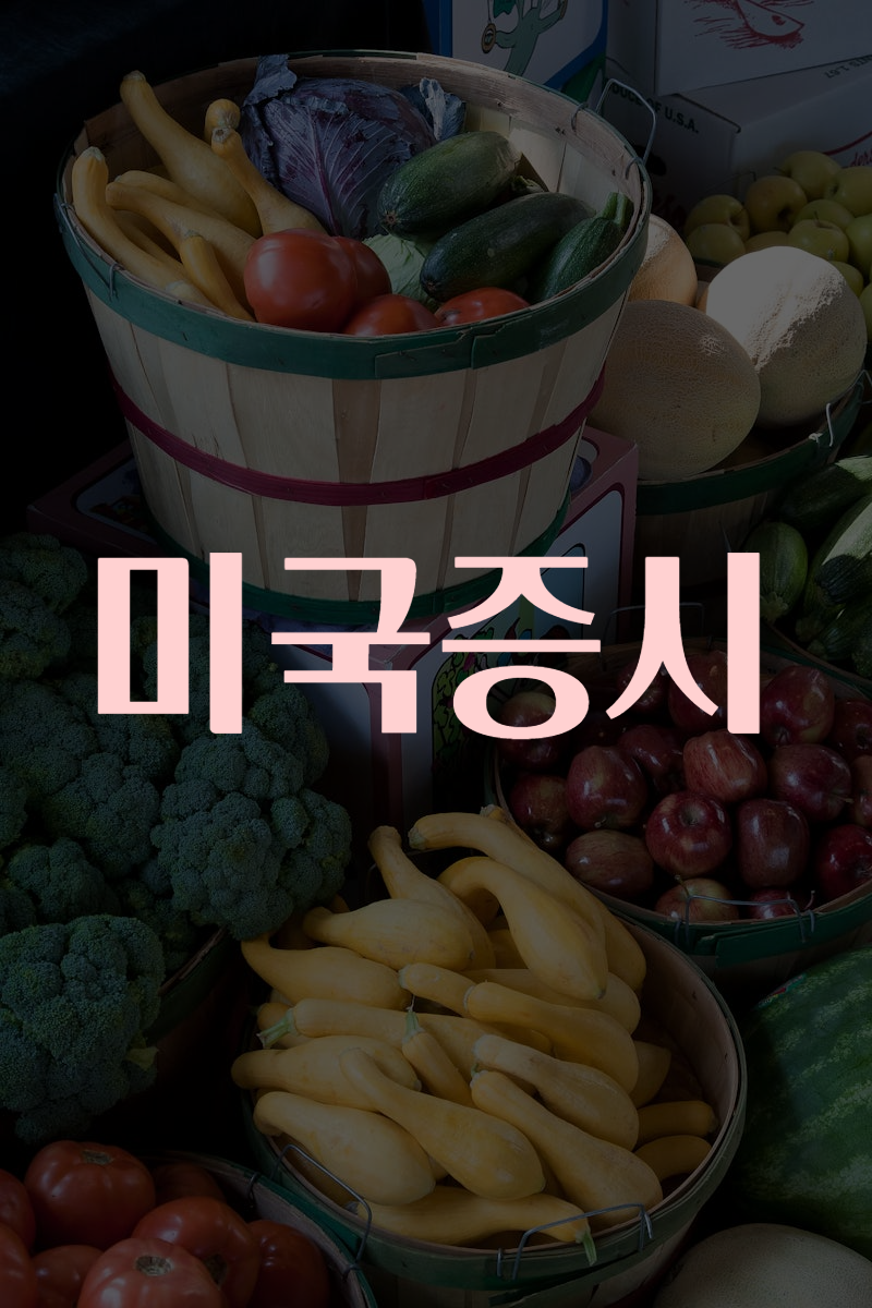미국증시