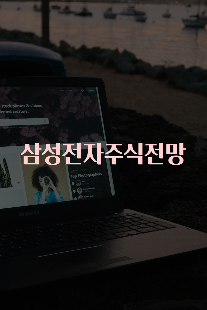 삼성전자주식전망