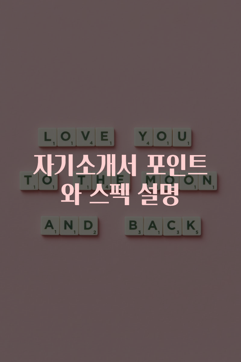 자기소개서 포인트와 스펙 설명