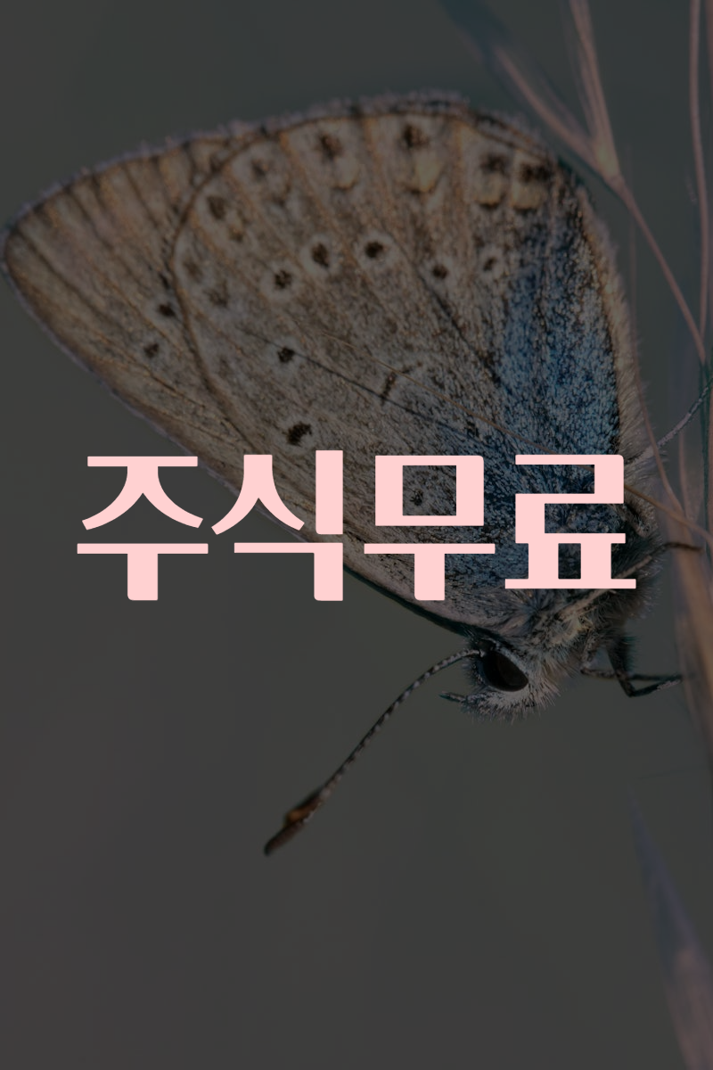 주식무료