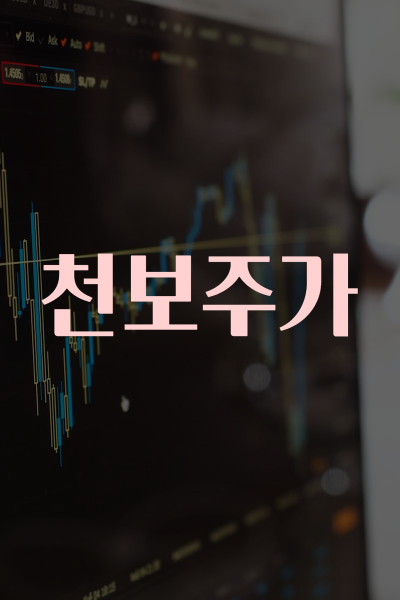 천보주가