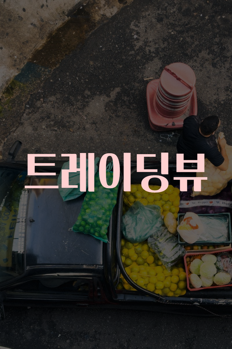 트레이딩뷰