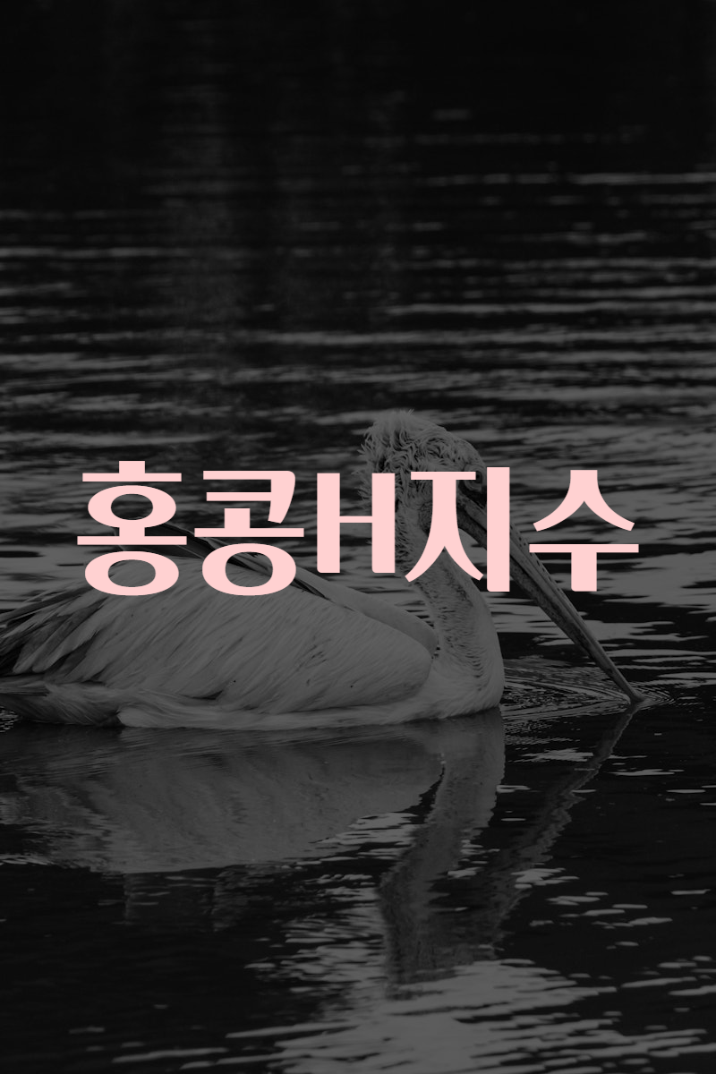 홍콩H지수