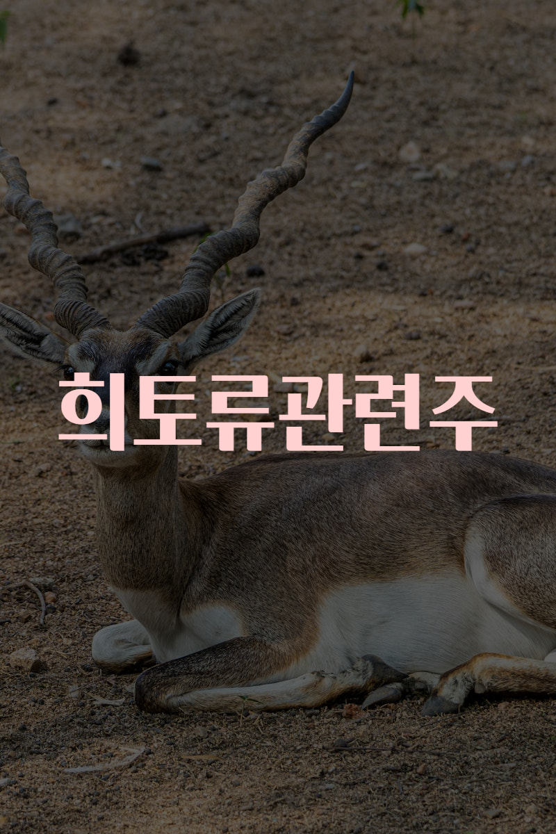 희토류관련주