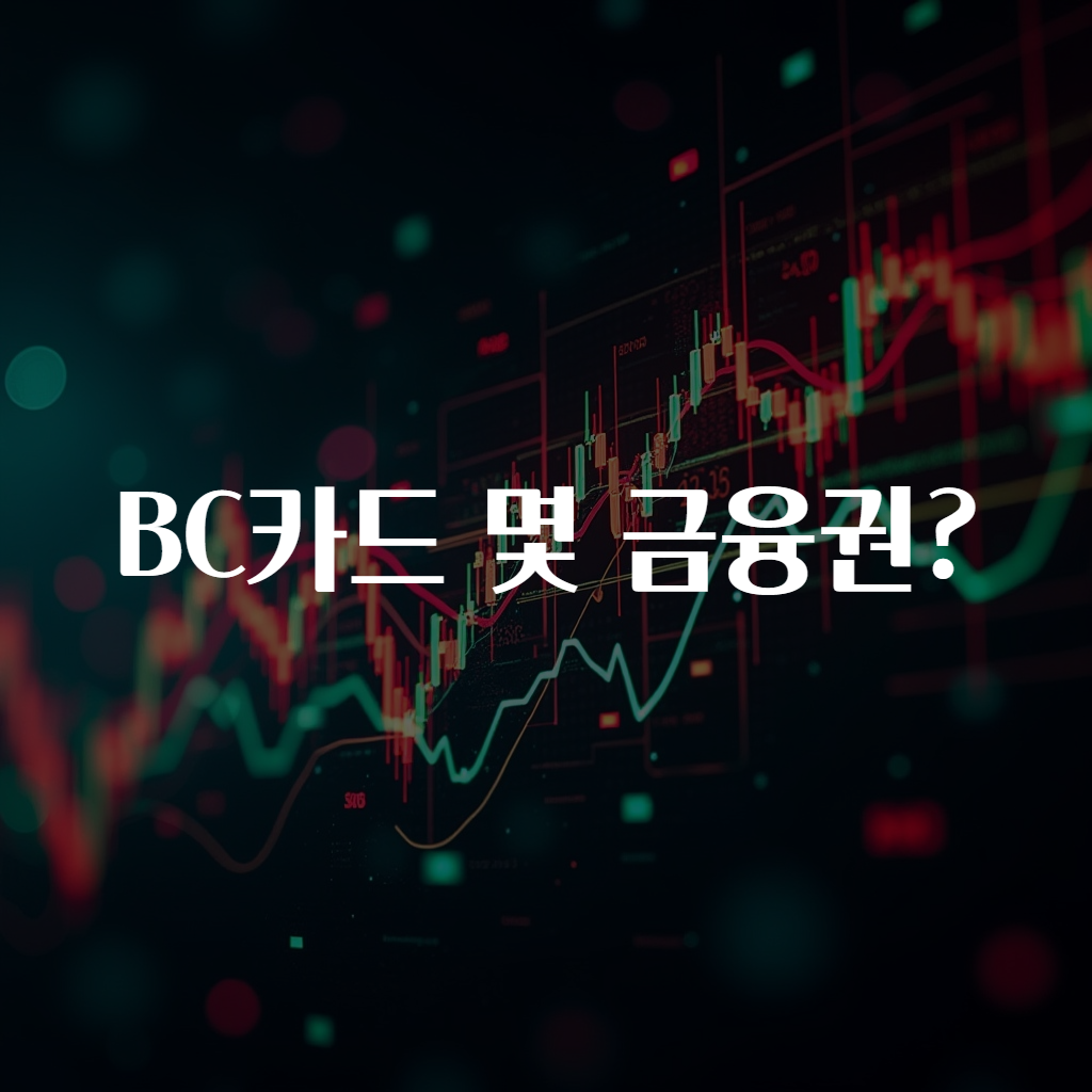 BC카드 몇 금융권?
