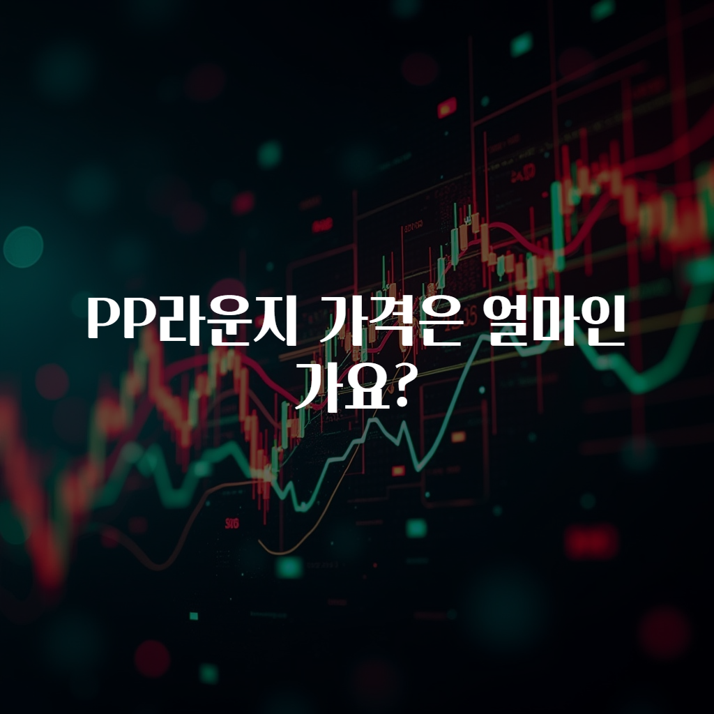 PP라운지 가격은 얼마인가요?