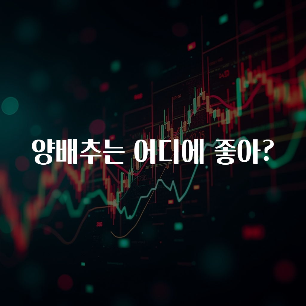 양배추는 어디에 좋아?