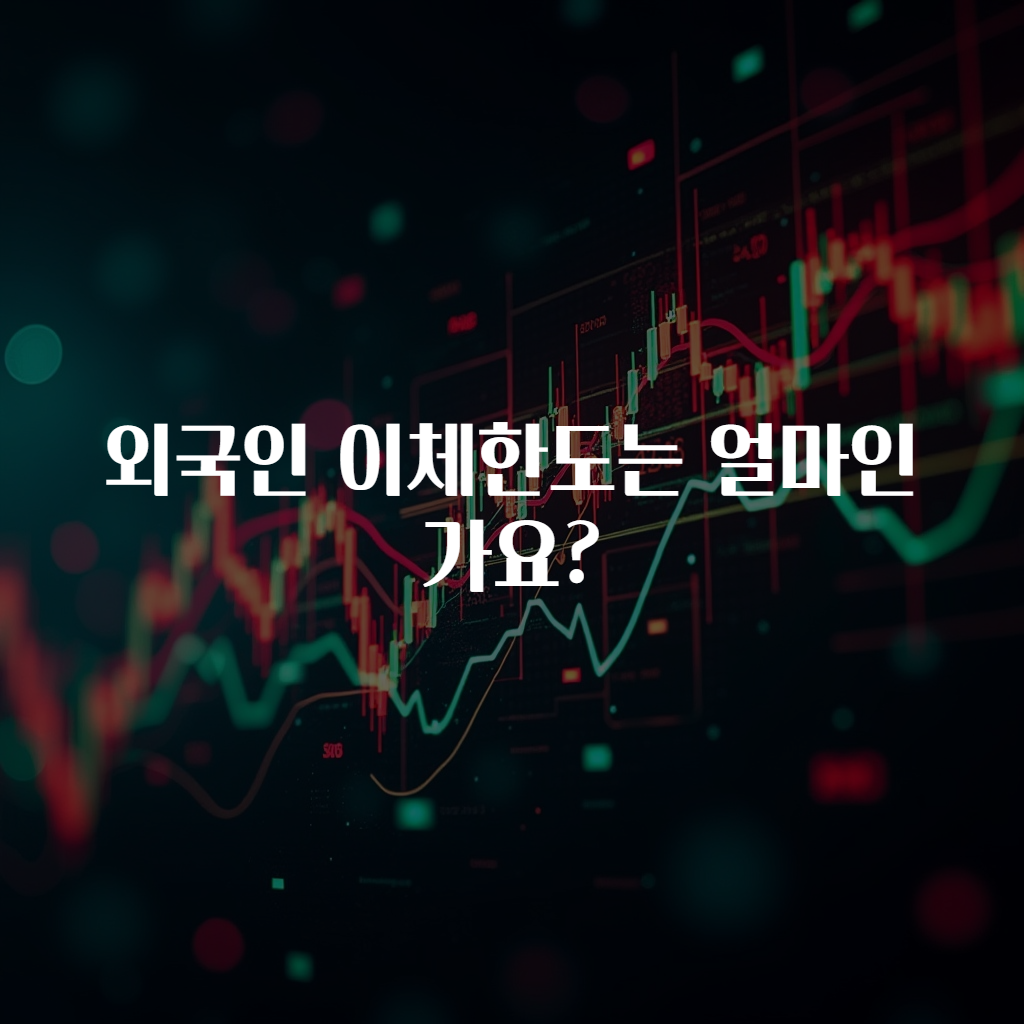 외국인 이체한도는 얼마인가요?