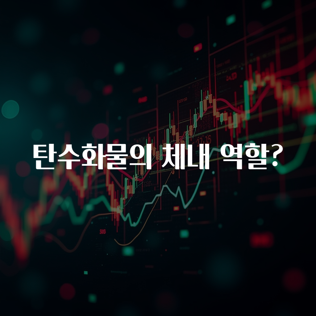 탄수화물의 체내 역할?