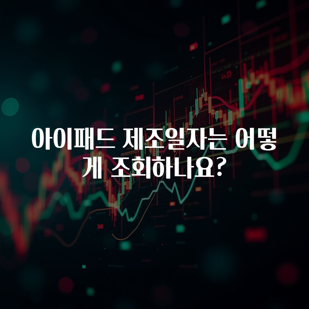 아이패드 제조일자는 어떻게 조회하나요?
