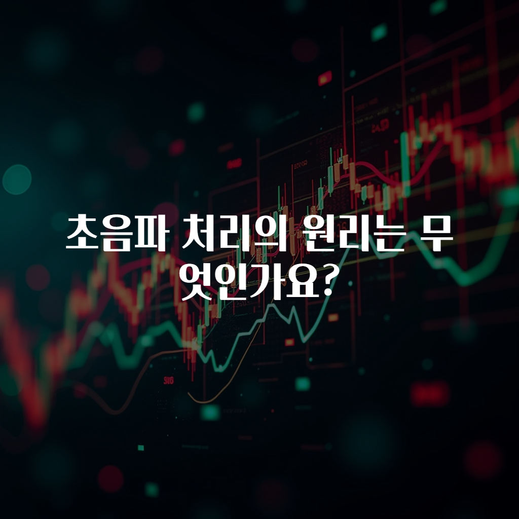 초음파 처리의 원리는 무엇인가요?