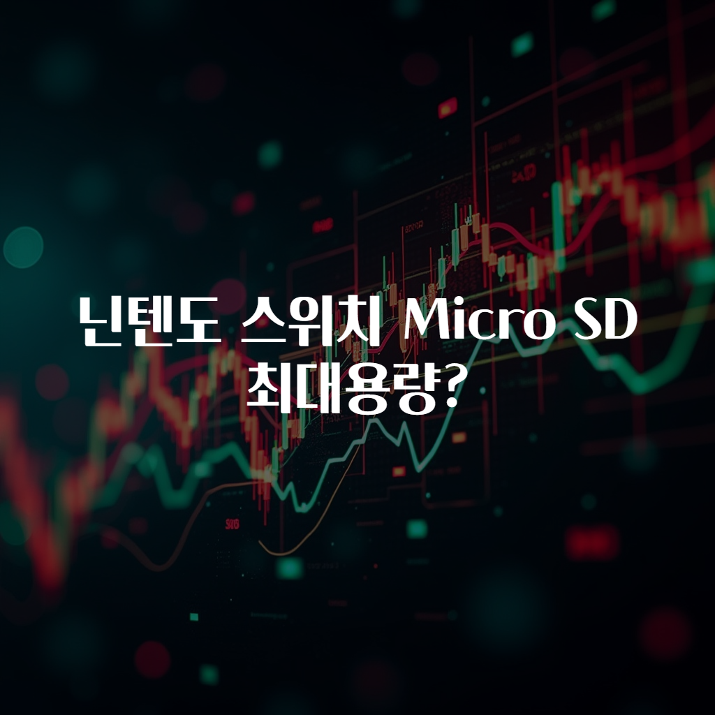 닌텐도 스위치 Micro SD 최대용량?