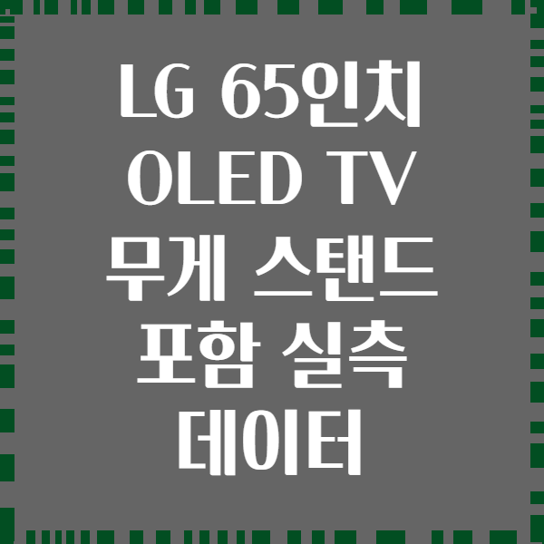 LG 65인치 OLED TV 무게 스탠드 포함 실측 데이터