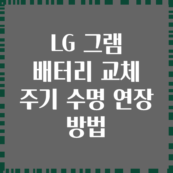 LG 그램 배터리 교체 주기 수명 연장 방법