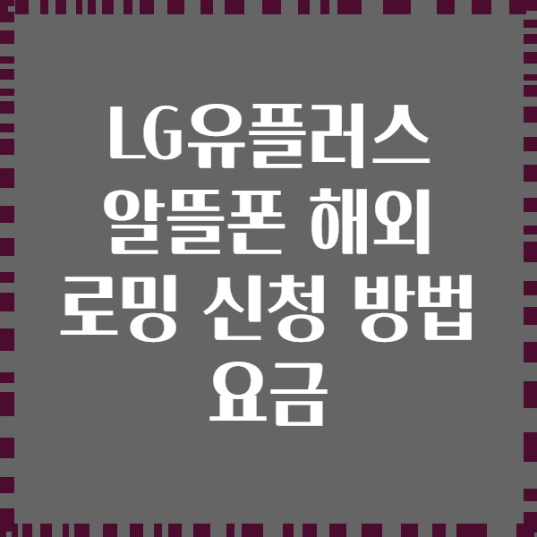 LG유플러스 알뜰폰 해외 로밍 신청 방법 요금