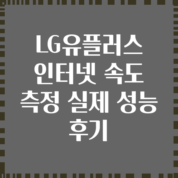 LG유플러스 인터넷 속도 측정 실제 성능 후기