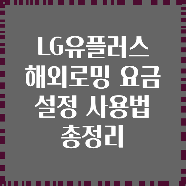 LG유플러스 해외로밍 요금 설정 사용법 총정리