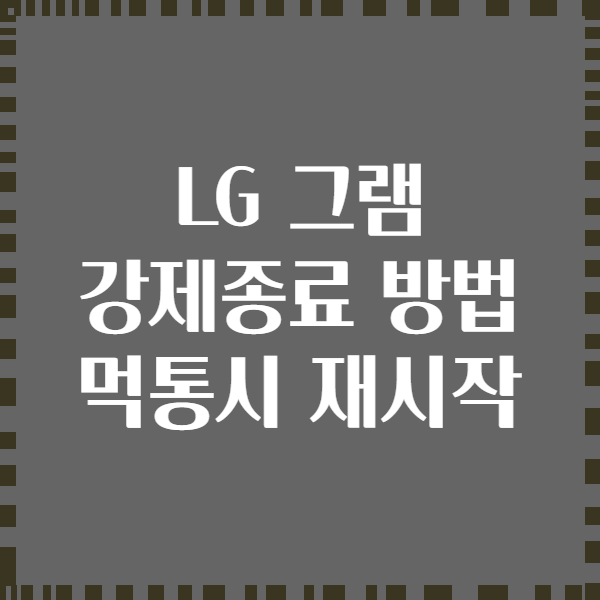 LG 그램 강제종료 방법 먹통시 재시작