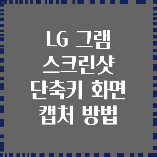 LG 그램 스크린샷 단축키 화면 캡처 방법