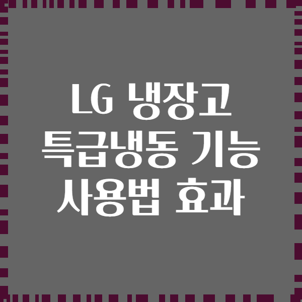 LG 냉장고 특급냉동 기능 사용법 효과
