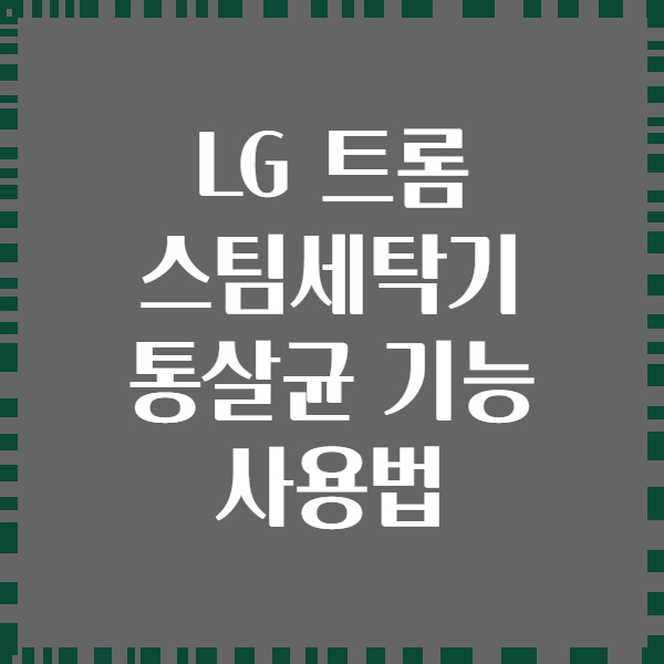 LG 트롬 스팀세탁기 통살균 기능 사용법
