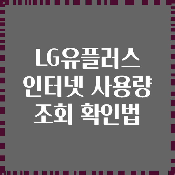 LG유플러스 인터넷 사용량 조회 확인법