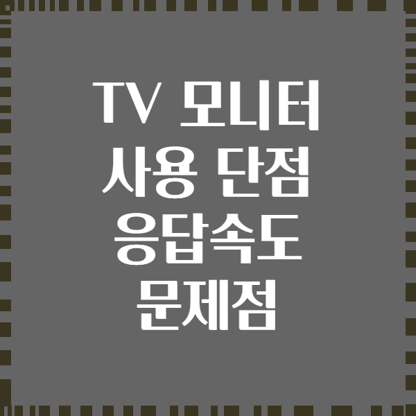 TV 모니터 사용 단점 응답속도 문제점