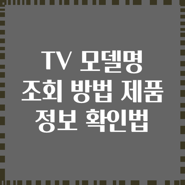 TV 모델명 조회 방법 제품 정보 확인법