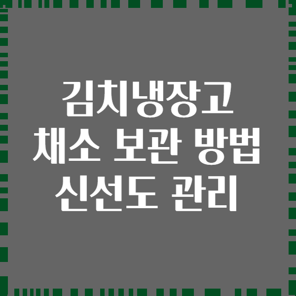 김치냉장고 채소 보관 방법 신선도 관리
