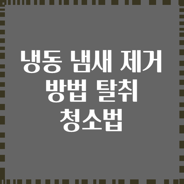냉동 냄새 제거 방법 탈취 청소법