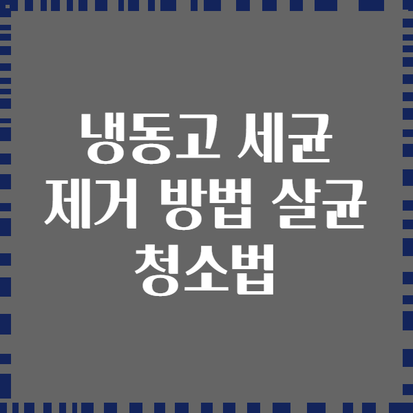 냉동고 세균 제거 방법 살균 청소법