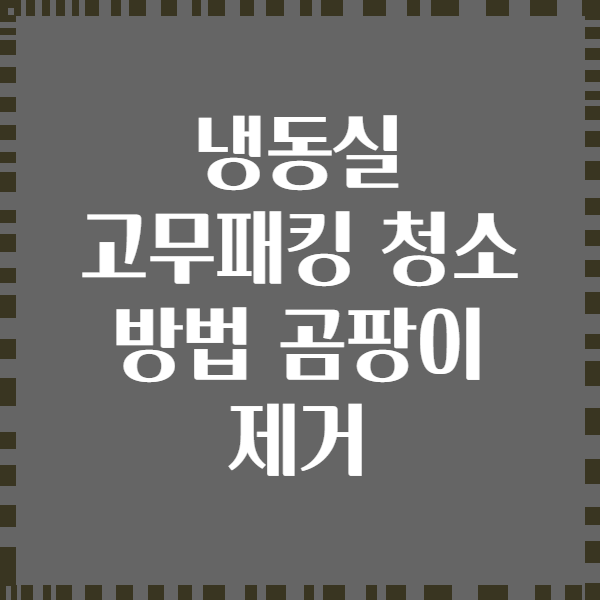 냉동실 고무패킹 청소 방법 곰팡이 제거