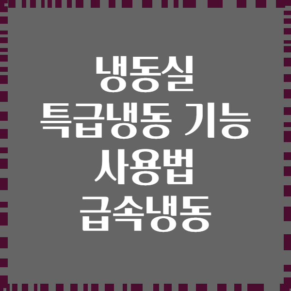 냉동실 특급냉동 기능 사용법 급속냉동