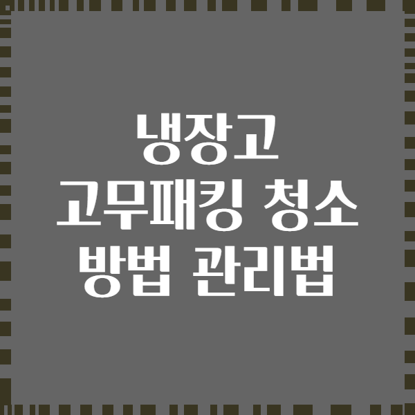 냉장고 고무패킹 청소 방법 관리법