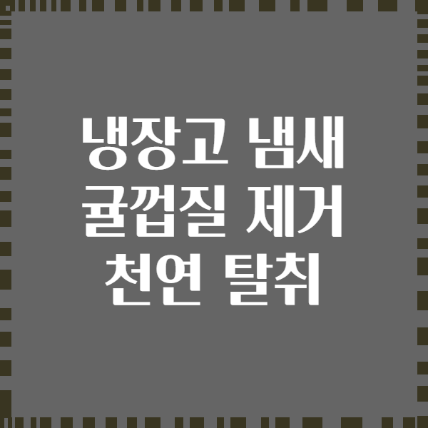 냉장고 냄새 귤껍질 제거 천연 탈취