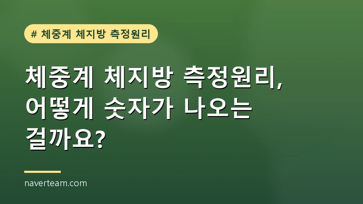밝은 거실에 놓인 체지방 측정 체중계